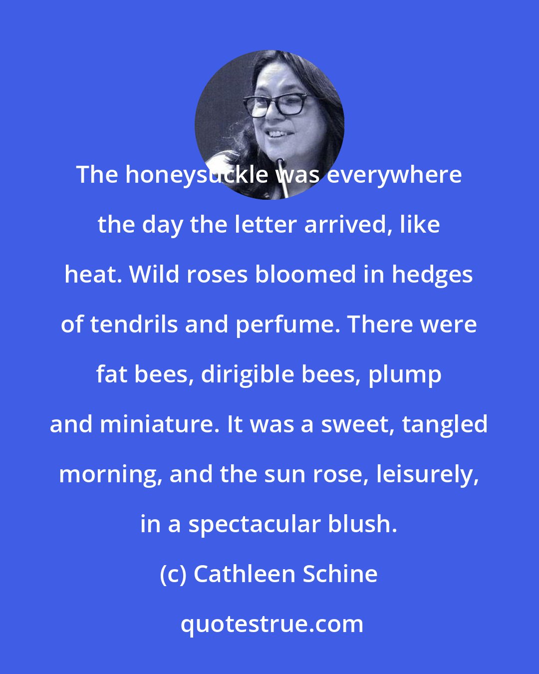 Cathleen Schine: The honeysuckle was everywhere the day the letter arrived, like heat. Wild roses bloomed in hedges of tendrils and perfume. There were fat bees, dirigible bees, plump and miniature. It was a sweet, tangled morning, and the sun rose, leisurely, in a spectacular blush.