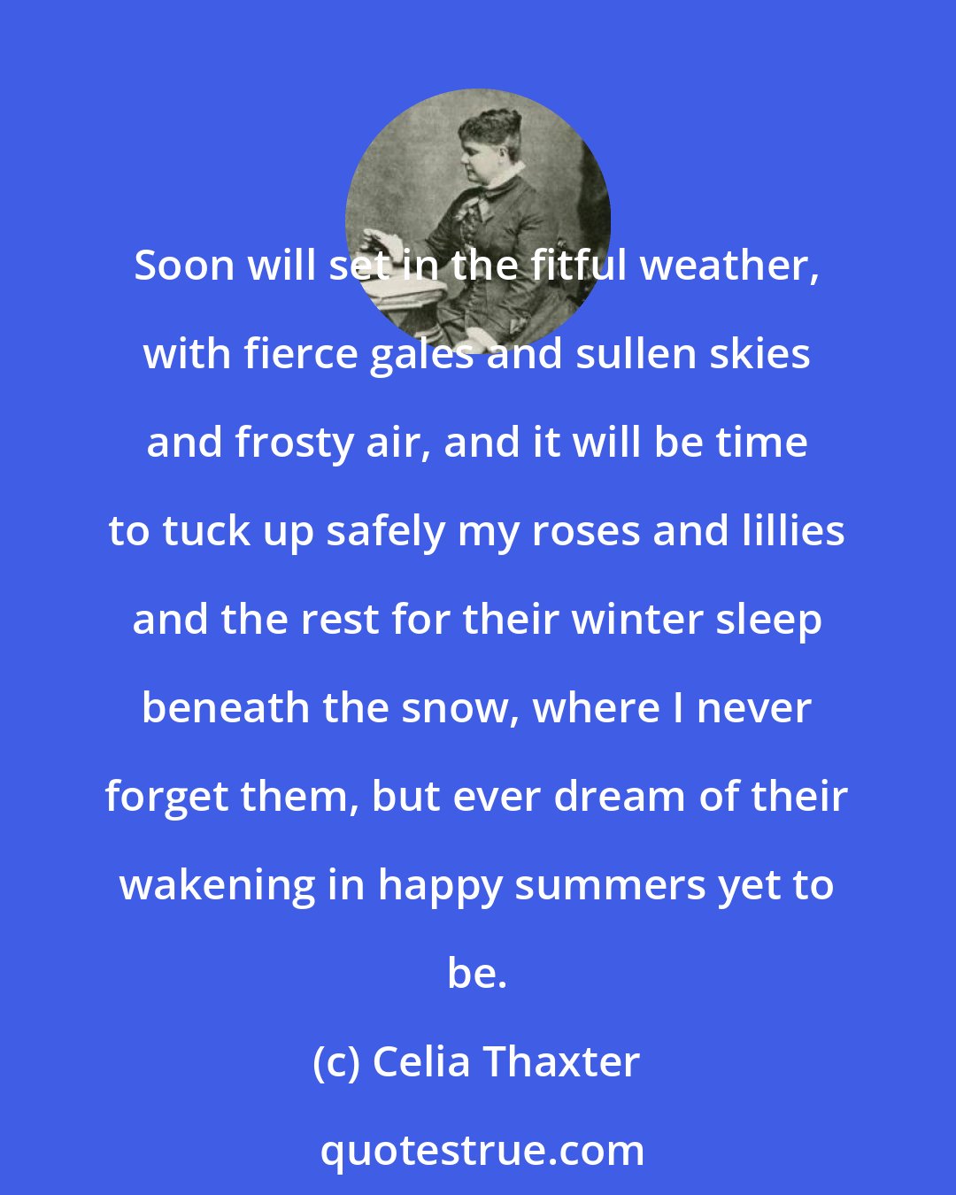Celia Thaxter: Soon will set in the fitful weather, with fierce gales and sullen skies and frosty air, and it will be time to tuck up safely my roses and lillies and the rest for their winter sleep beneath the snow, where I never forget them, but ever dream of their wakening in happy summers yet to be.