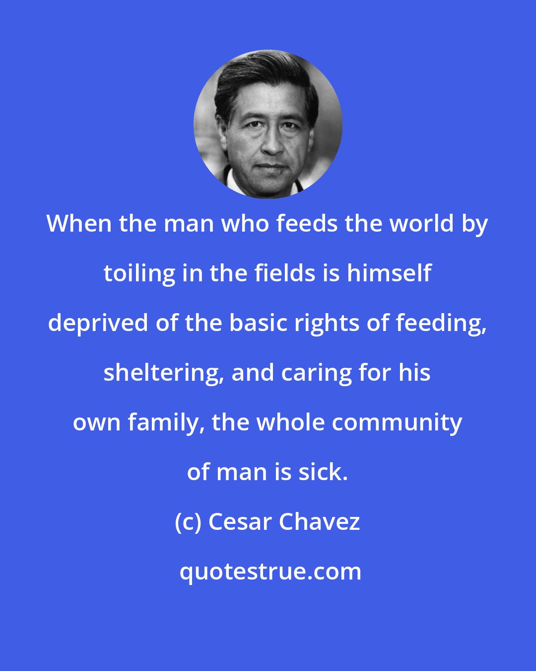 Cesar Chavez: When the man who feeds the world by toiling in the fields is himself deprived of the basic rights of feeding, sheltering, and caring for his own family, the whole community of man is sick.
