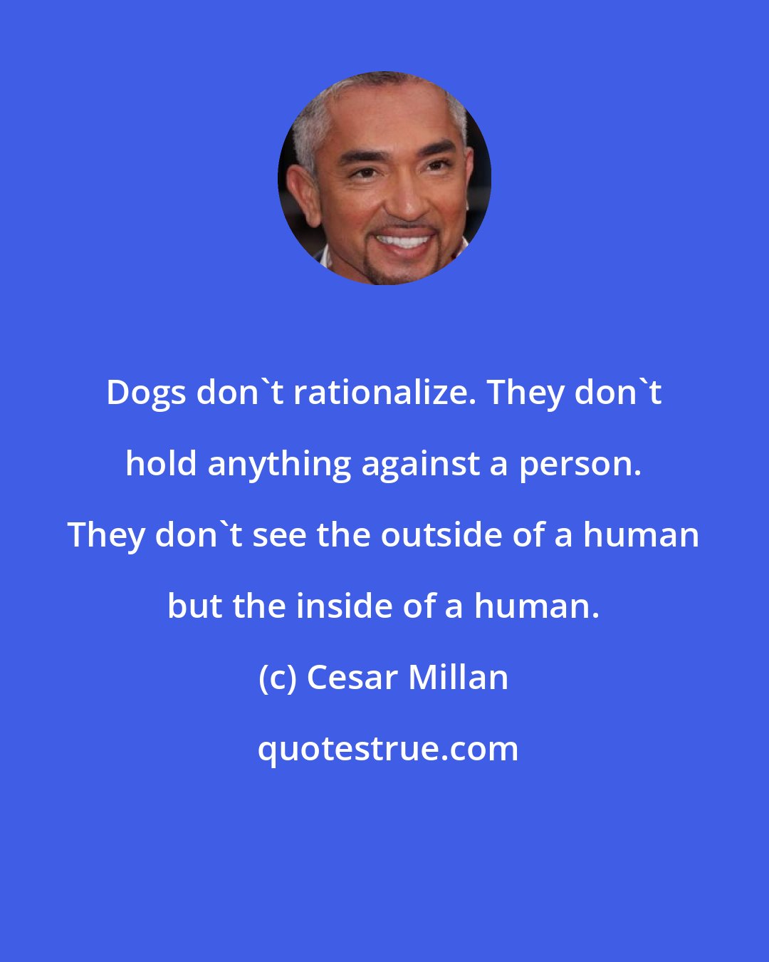Cesar Millan: Dogs don't rationalize. They don't hold anything against a person. They don't see the outside of a human but the inside of a human.