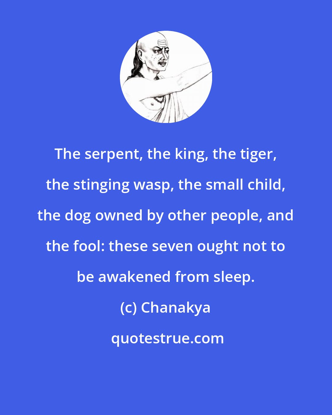 Chanakya: The serpent, the king, the tiger, the stinging wasp, the small child, the dog owned by other people, and the fool: these seven ought not to be awakened from sleep.