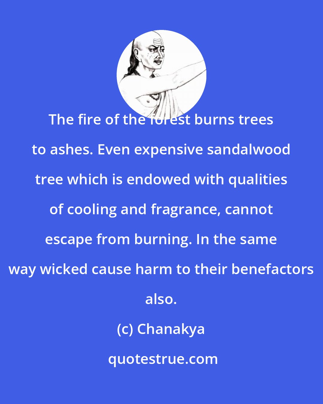 Chanakya: The fire of the forest burns trees to ashes. Even expensive sandalwood tree which is endowed with qualities of cooling and fragrance, cannot escape from burning. In the same way wicked cause harm to their benefactors also.