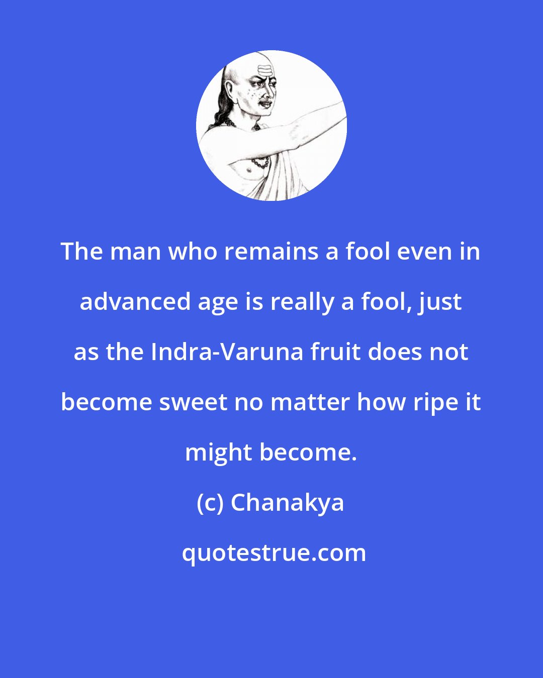 Chanakya: The man who remains a fool even in advanced age is really a fool, just as the Indra-Varuna fruit does not become sweet no matter how ripe it might become.