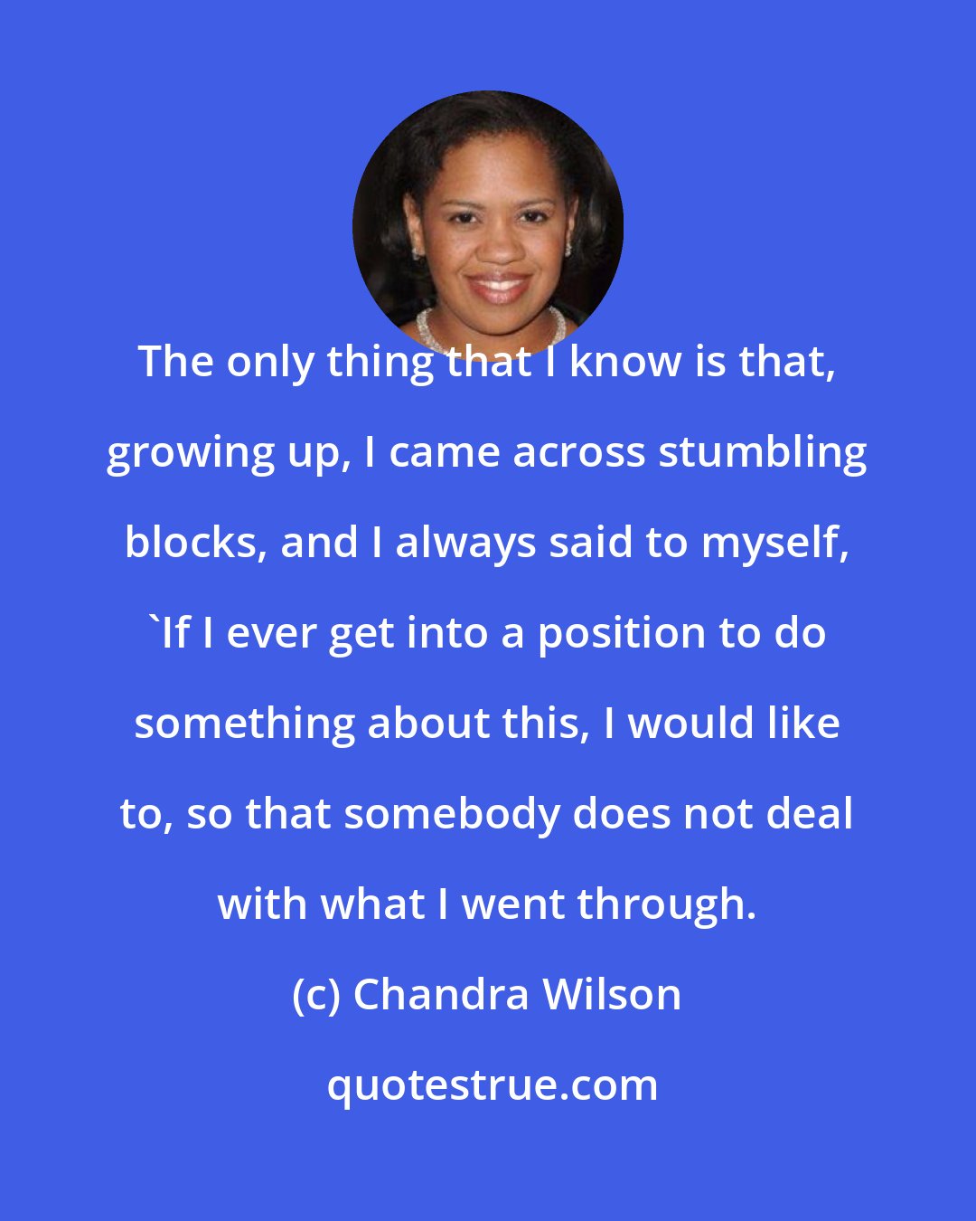 Chandra Wilson: The only thing that I know is that, growing up, I came across stumbling blocks, and I always said to myself, 'If I ever get into a position to do something about this, I would like to, so that somebody does not deal with what I went through.