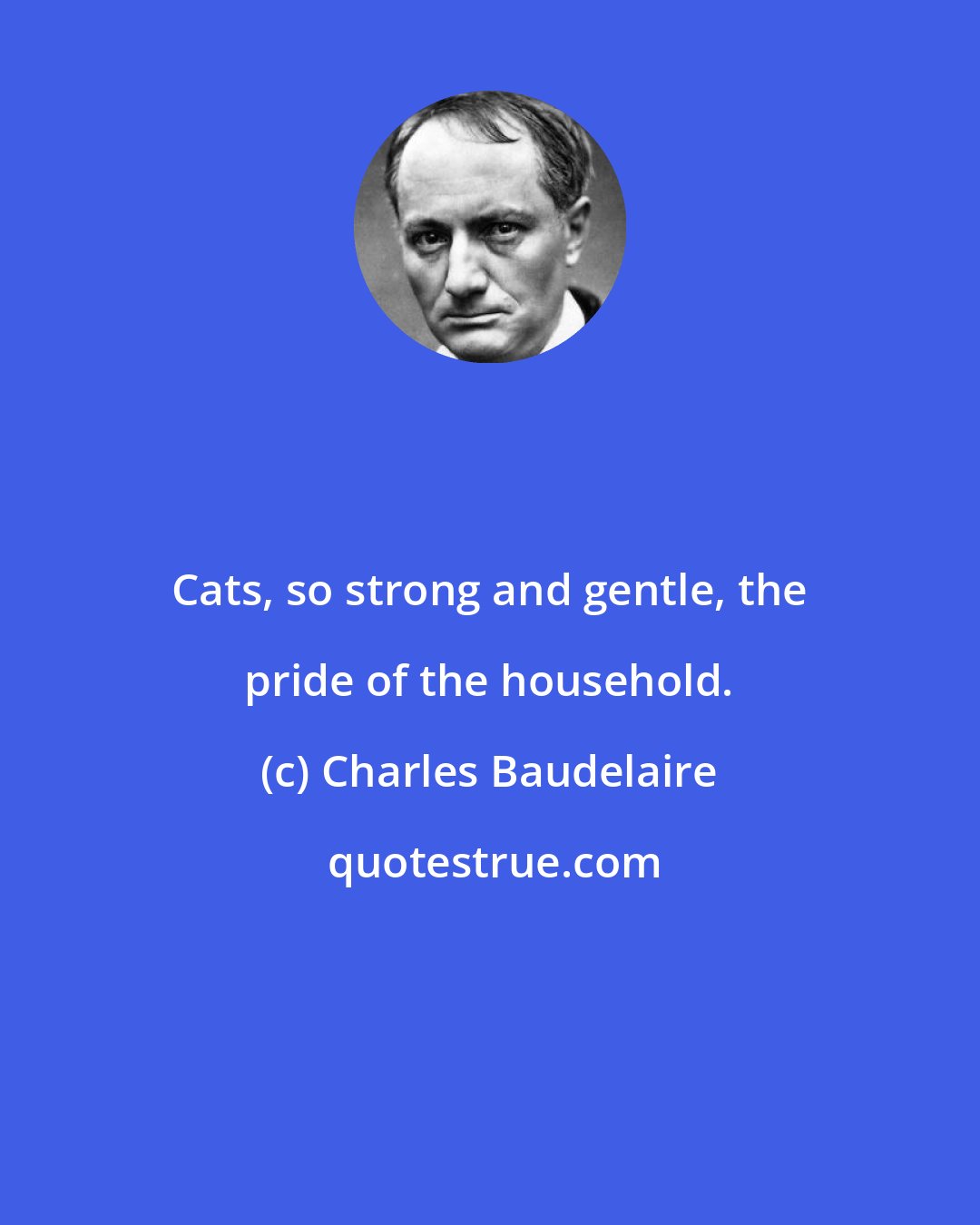 Charles Baudelaire: Cats, so strong and gentle, the pride of the household.