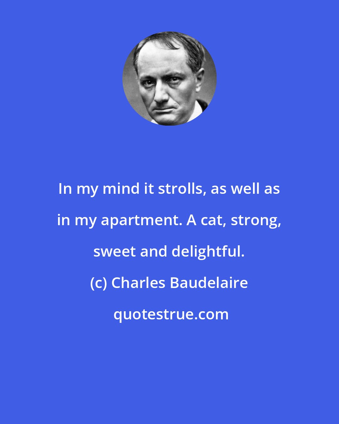 Charles Baudelaire: In my mind it strolls, as well as in my apartment. A cat, strong, sweet and delightful.