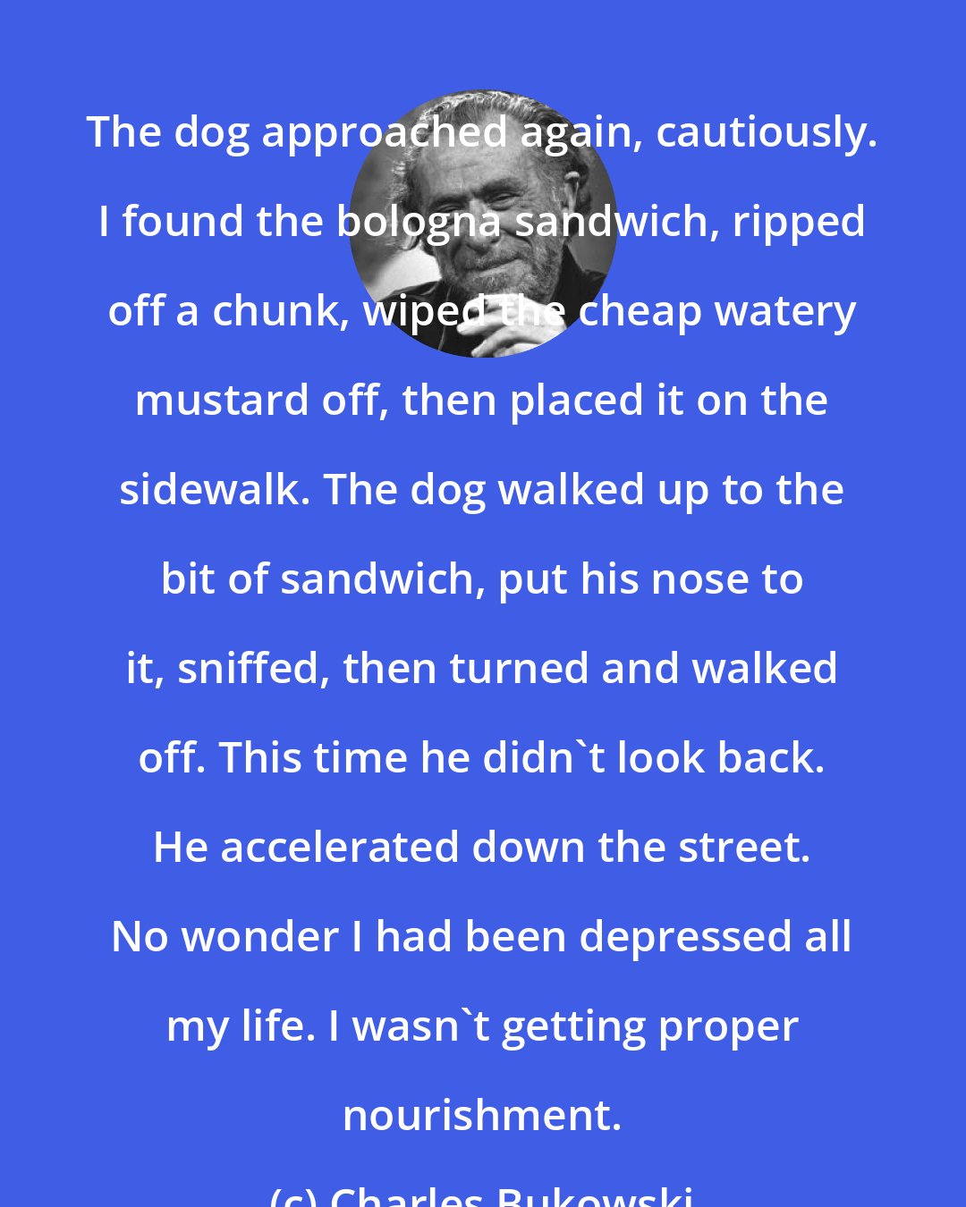 Charles Bukowski: The dog approached again, cautiously. I found the bologna sandwich, ripped off a chunk, wiped the cheap watery mustard off, then placed it on the sidewalk. The dog walked up to the bit of sandwich, put his nose to it, sniffed, then turned and walked off. This time he didn't look back. He accelerated down the street. No wonder I had been depressed all my life. I wasn't getting proper nourishment.