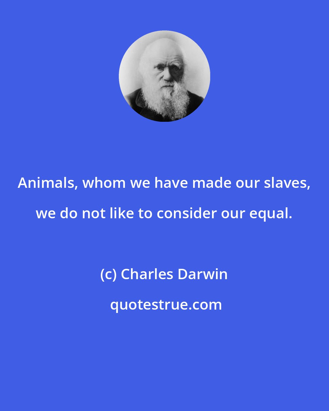 Charles Darwin: Animals, whom we have made our slaves, we do not like to consider our equal.