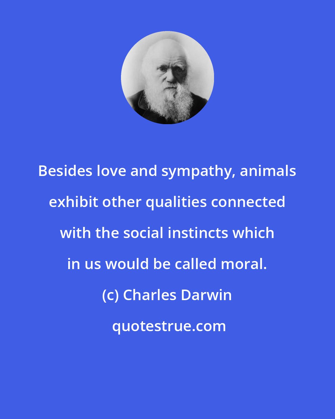 Charles Darwin: Besides love and sympathy, animals exhibit other qualities connected with the social instincts which in us would be called moral.