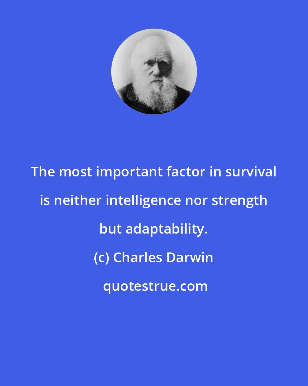 Charles Darwin: The most important factor in survival is neither intelligence nor strength but adaptability.
