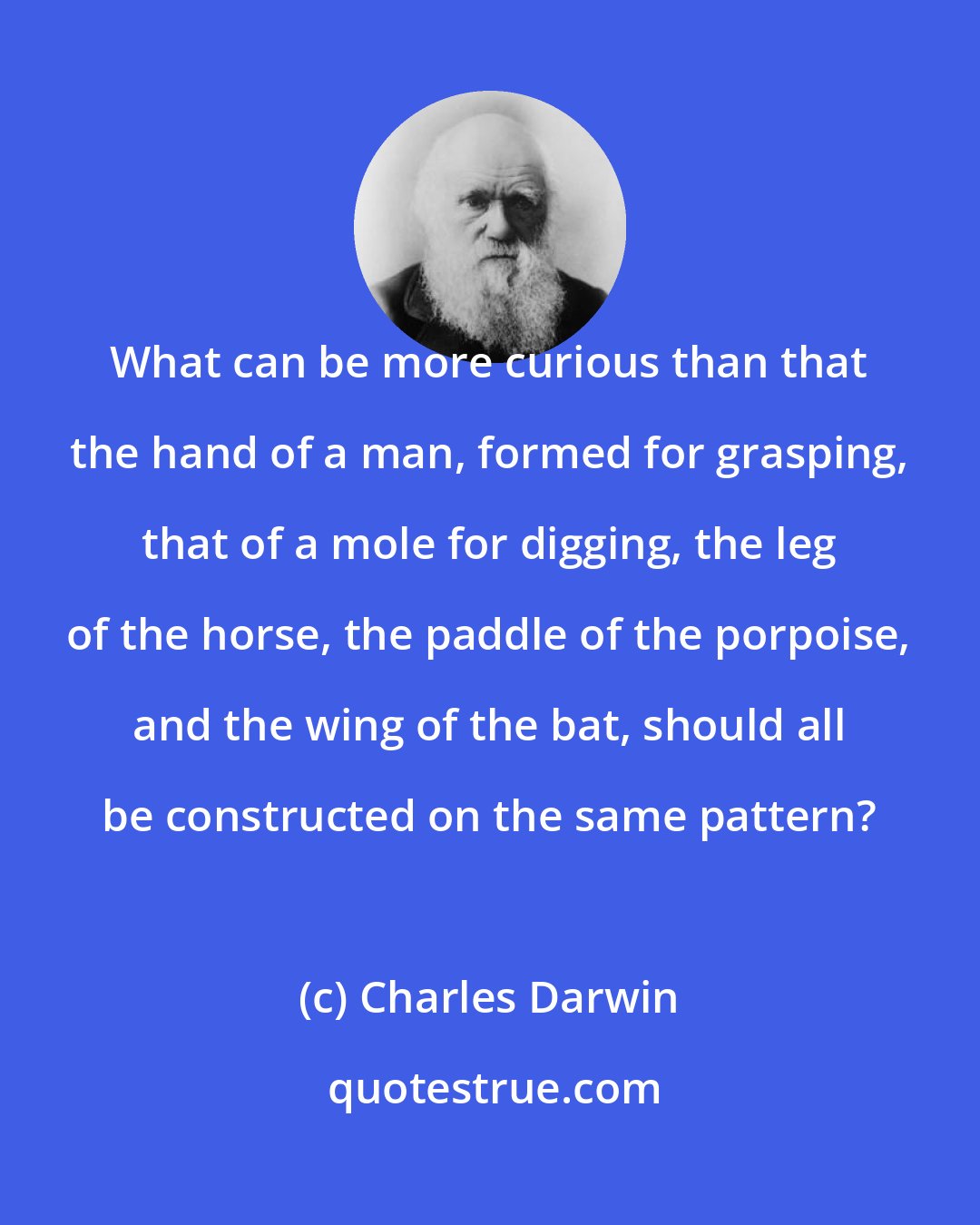 Charles Darwin: What can be more curious than that the hand of a man, formed for grasping, that of a mole for digging, the leg of the horse, the paddle of the porpoise, and the wing of the bat, should all be constructed on the same pattern?