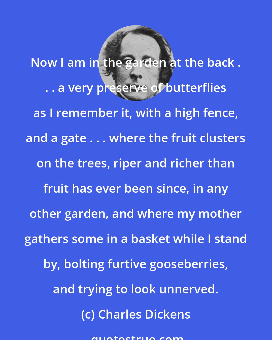 Charles Dickens: Now I am in the garden at the back . . . a very preserve of butterflies as I remember it, with a high fence, and a gate . . . where the fruit clusters on the trees, riper and richer than fruit has ever been since, in any other garden, and where my mother gathers some in a basket while I stand by, bolting furtive gooseberries, and trying to look unnerved.