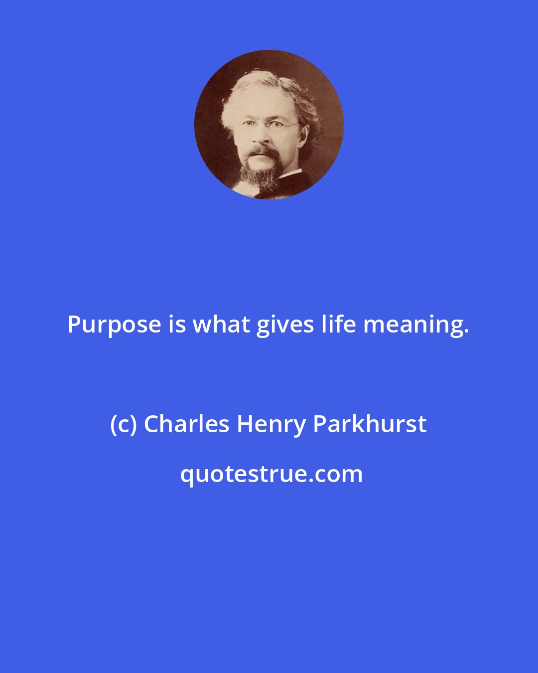 Charles Henry Parkhurst: Purpose is what gives life meaning.