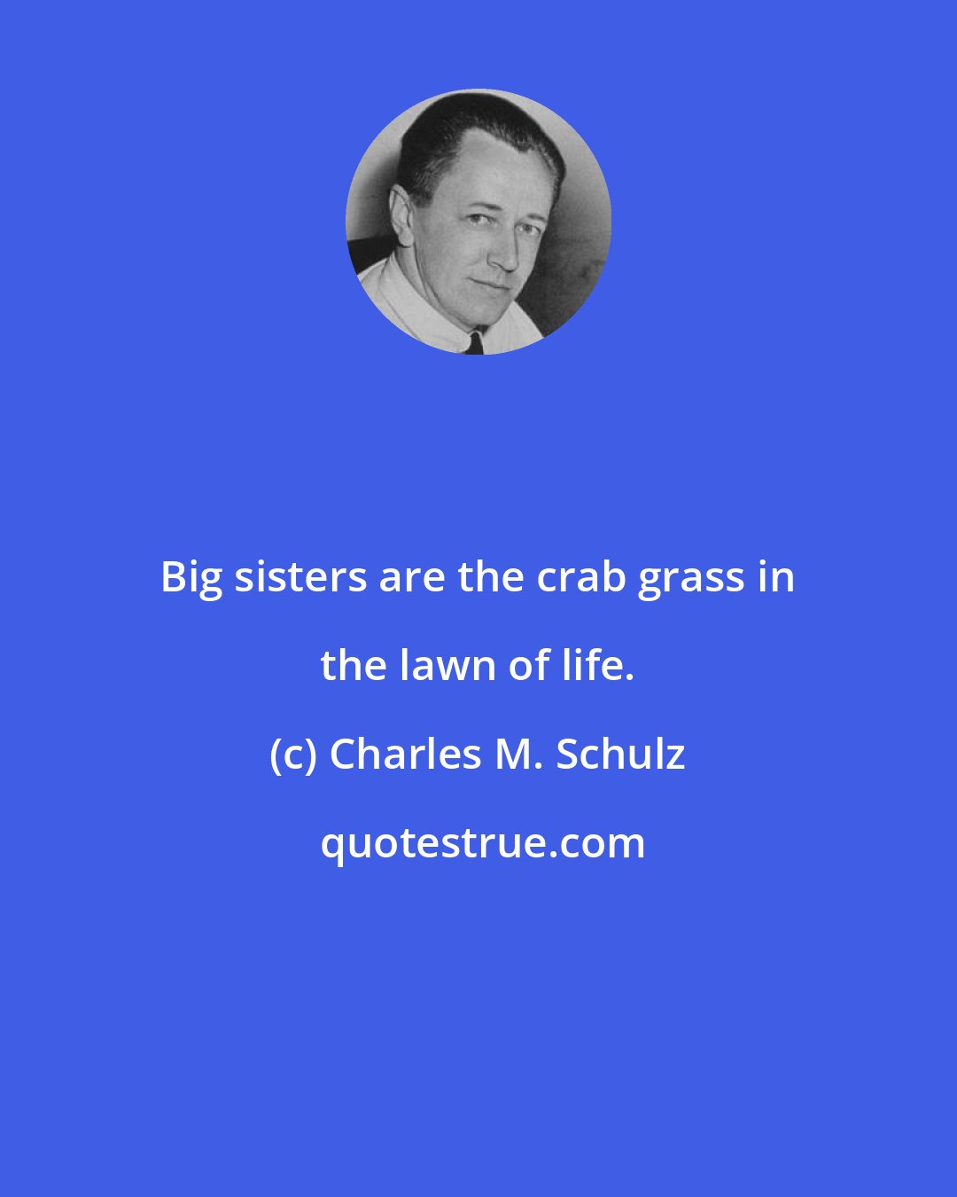 Charles M. Schulz: Big sisters are the crab grass in the lawn of life.