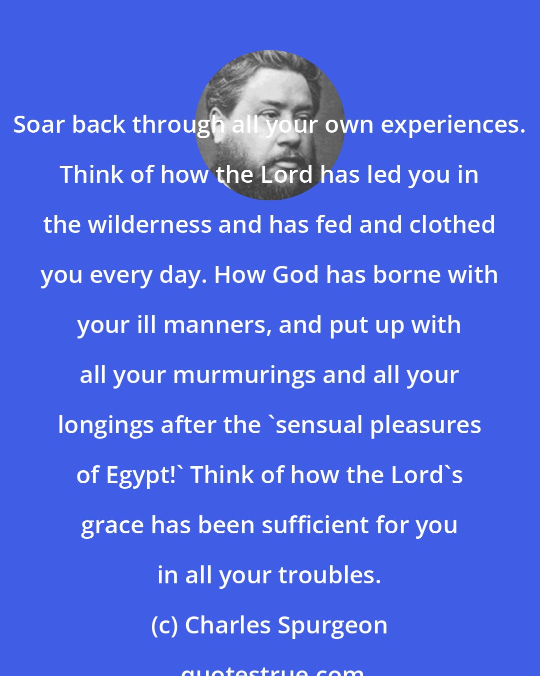 Charles Spurgeon: Soar back through all your own experiences. Think of how the Lord has led you in the wilderness and has fed and clothed you every day. How God has borne with your ill manners, and put up with all your murmurings and all your longings after the 'sensual pleasures of Egypt!' Think of how the Lord's grace has been sufficient for you in all your troubles.