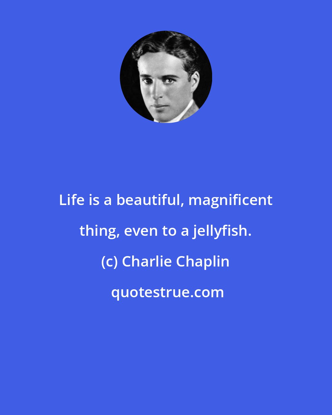 Charlie Chaplin: Life is a beautiful, magnificent thing, even to a jellyfish.
