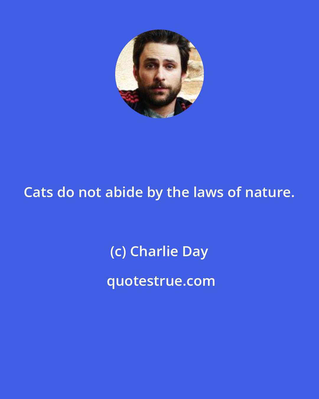 Charlie Day: Cats do not abide by the laws of nature.