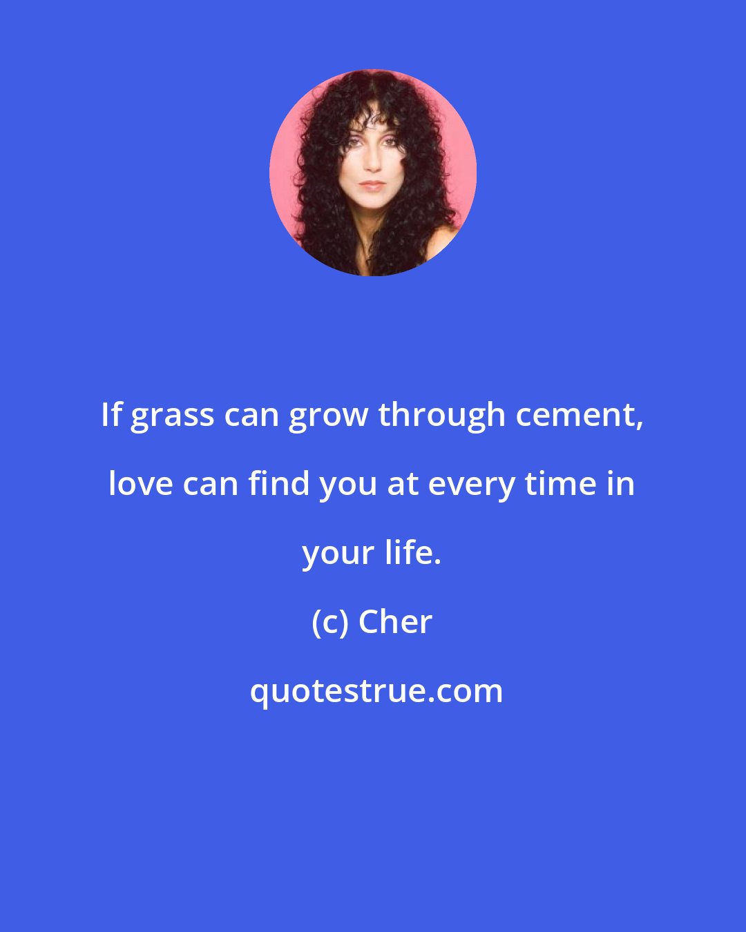 Cher: If grass can grow through cement, love can find you at every time in your life.