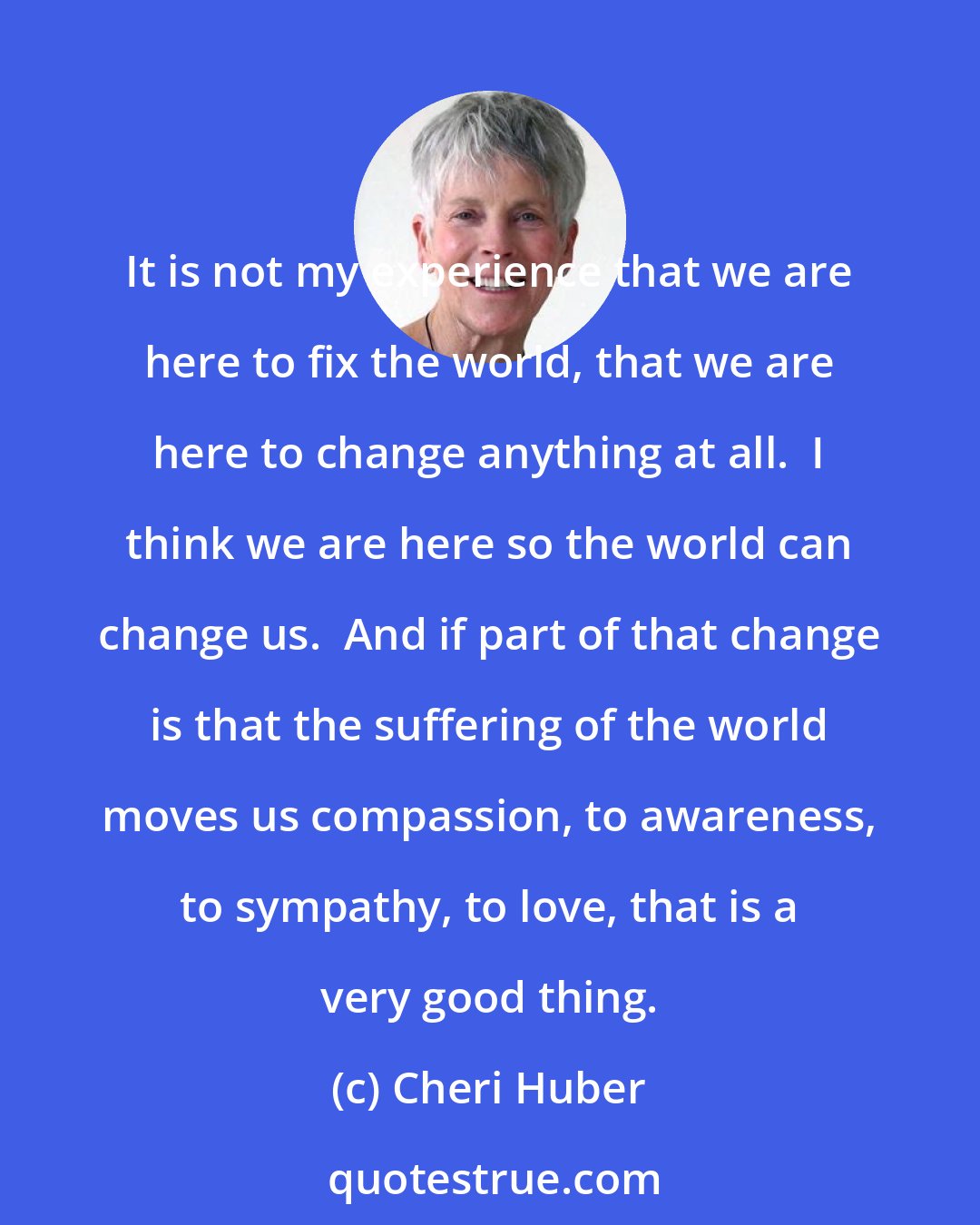 Cheri Huber: It is not my experience that we are here to fix the world, that we are here to change anything at all.  I think we are here so the world can change us.  And if part of that change is that the suffering of the world moves us compassion, to awareness, to sympathy, to love, that is a very good thing.