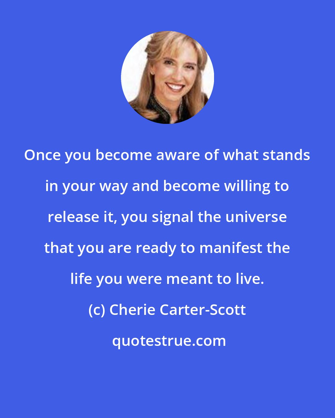 Cherie Carter-Scott: Once you become aware of what stands in your way and become willing to release it, you signal the universe that you are ready to manifest the life you were meant to live.