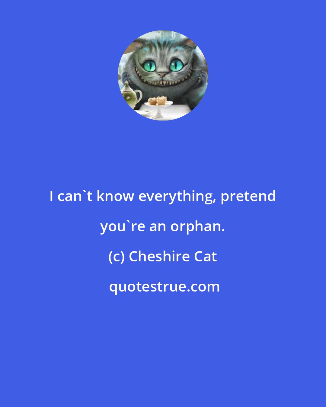 Cheshire Cat: I can't know everything, pretend you're an orphan.