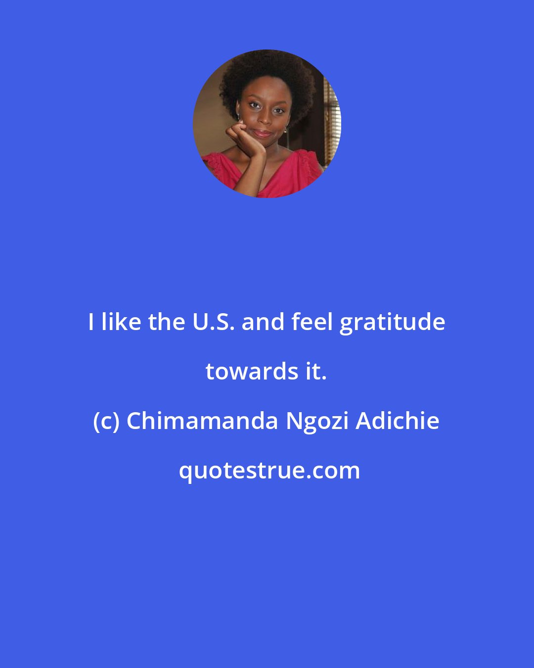 Chimamanda Ngozi Adichie: I like the U.S. and feel gratitude towards it.