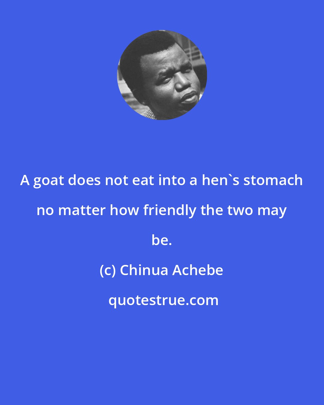 Chinua Achebe: A goat does not eat into a hen's stomach no matter how friendly the two may be.