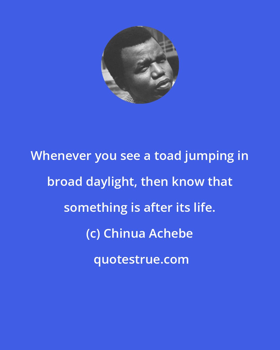 Chinua Achebe: Whenever you see a toad jumping in broad daylight, then know that something is after its life.
