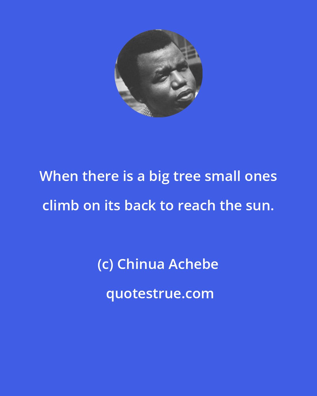 Chinua Achebe: When there is a big tree small ones climb on its back to reach the sun.