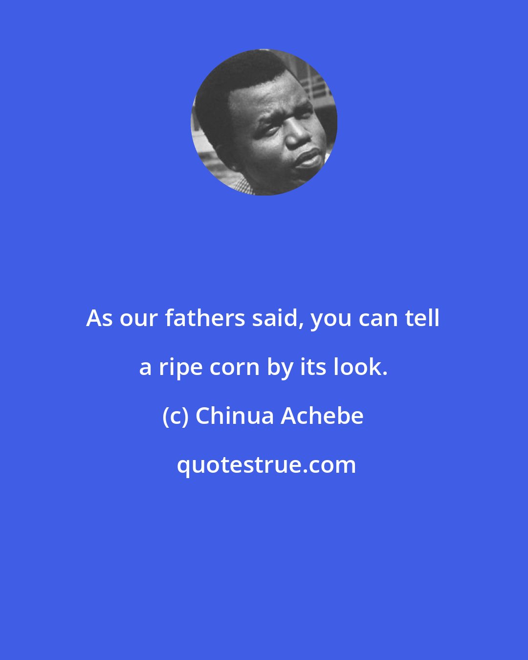 Chinua Achebe: As our fathers said, you can tell a ripe corn by its look.