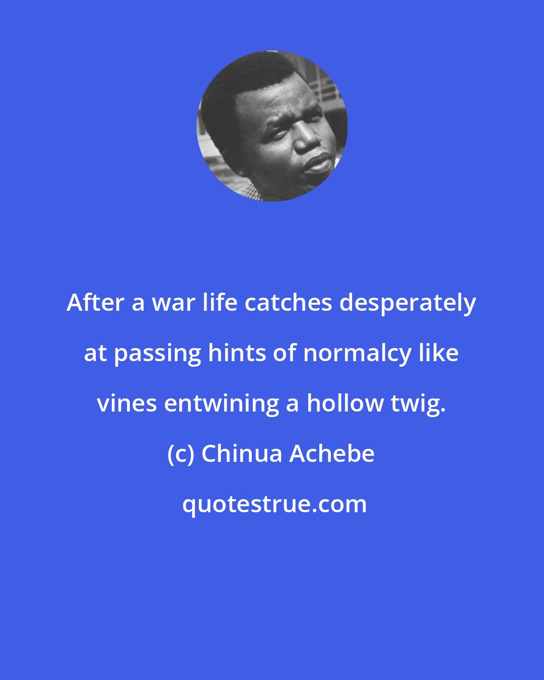 Chinua Achebe: After a war life catches desperately at passing hints of normalcy like vines entwining a hollow twig.