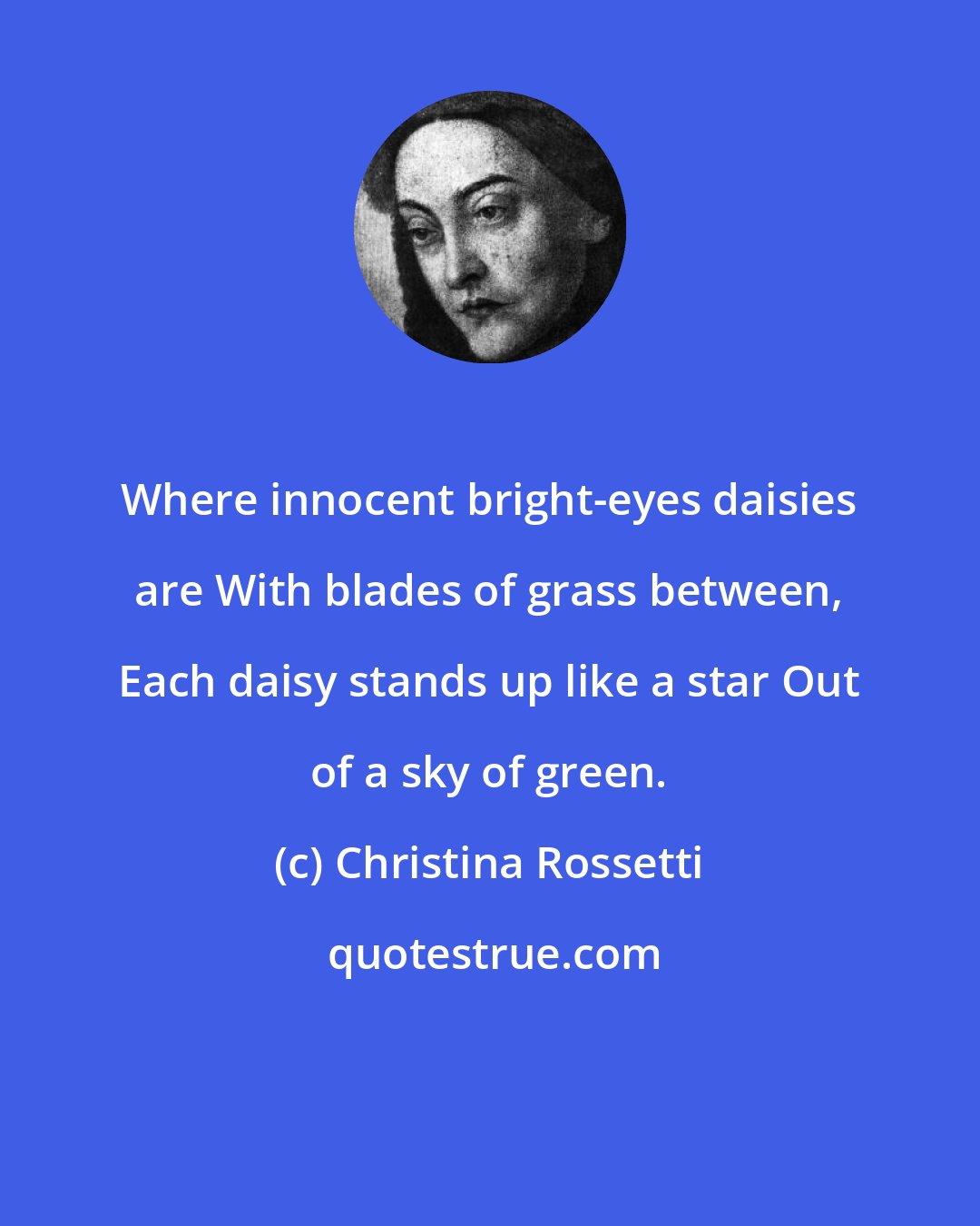 Christina Rossetti: Where innocent bright-eyes daisies are With blades of grass between, Each daisy stands up like a star Out of a sky of green.