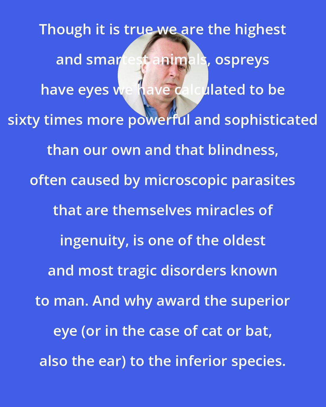 Christopher Hitchens: Though it is true we are the highest and smartest animals, ospreys have eyes we have calculated to be sixty times more powerful and sophisticated than our own and that blindness, often caused by microscopic parasites that are themselves miracles of ingenuity, is one of the oldest and most tragic disorders known to man. And why award the superior eye (or in the case of cat or bat, also the ear) to the inferior species.