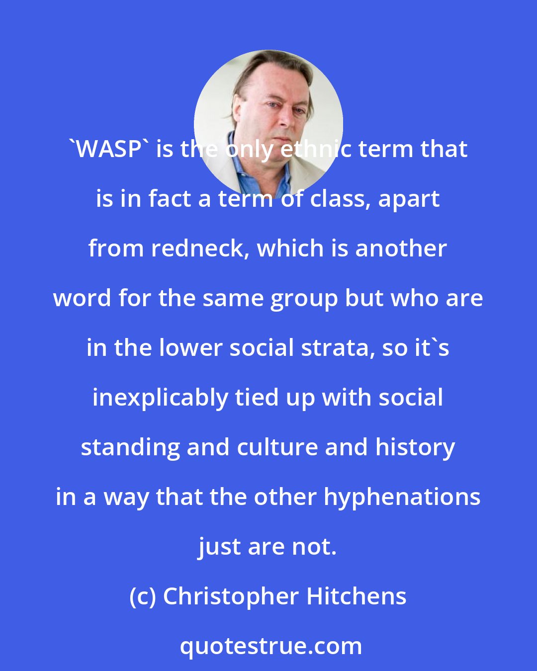 Christopher Hitchens: 'WASP' is the only ethnic term that is in fact a term of class, apart from redneck, which is another word for the same group but who are in the lower social strata, so it's inexplicably tied up with social standing and culture and history in a way that the other hyphenations just are not.