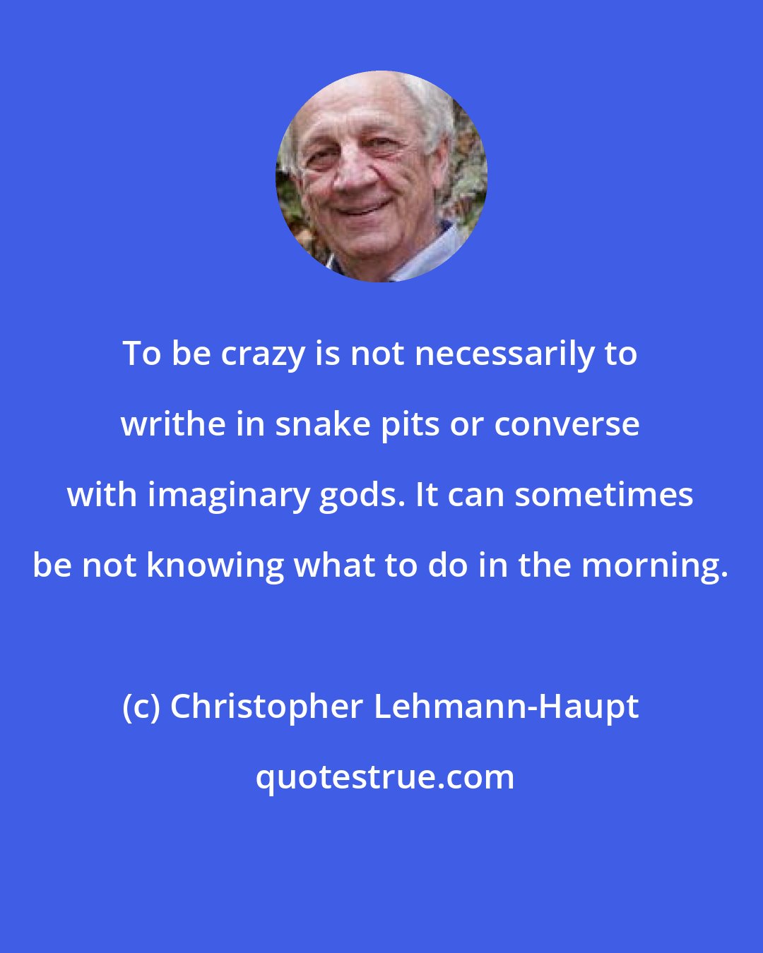 Christopher Lehmann-Haupt: To be crazy is not necessarily to writhe in snake pits or converse with imaginary gods. It can sometimes be not knowing what to do in the morning.