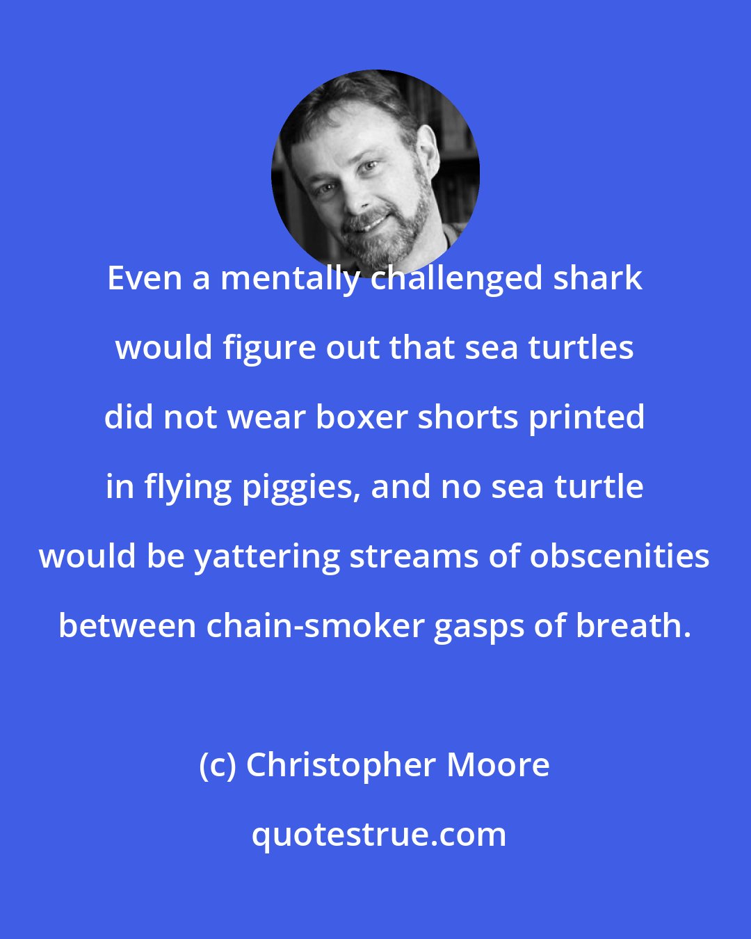 Christopher Moore: Even a mentally challenged shark would figure out that sea turtles did not wear boxer shorts printed in flying piggies, and no sea turtle would be yattering streams of obscenities between chain-smoker gasps of breath.