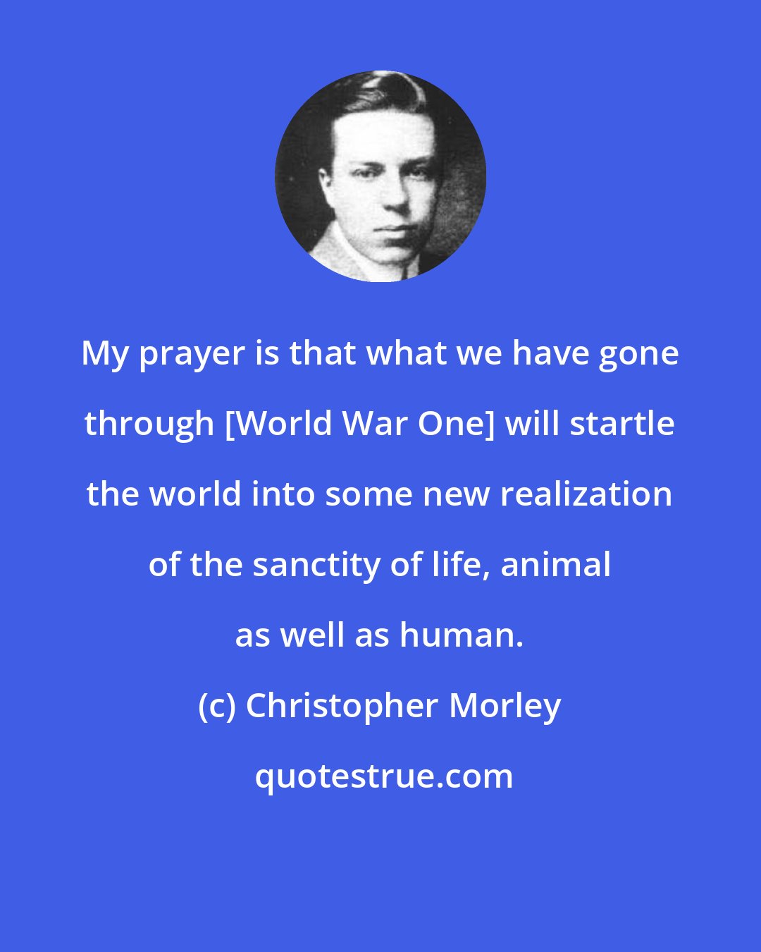 Christopher Morley: My prayer is that what we have gone through [World War One] will startle the world into some new realization of the sanctity of life, animal as well as human.