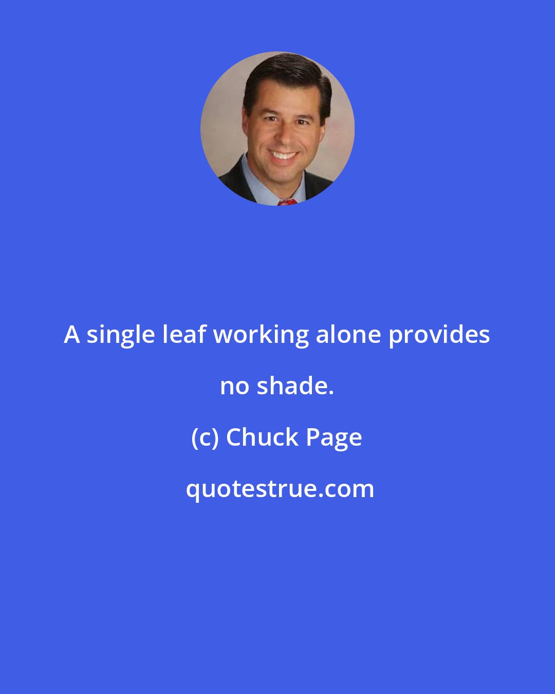 Chuck Page: A single leaf working alone provides no shade.