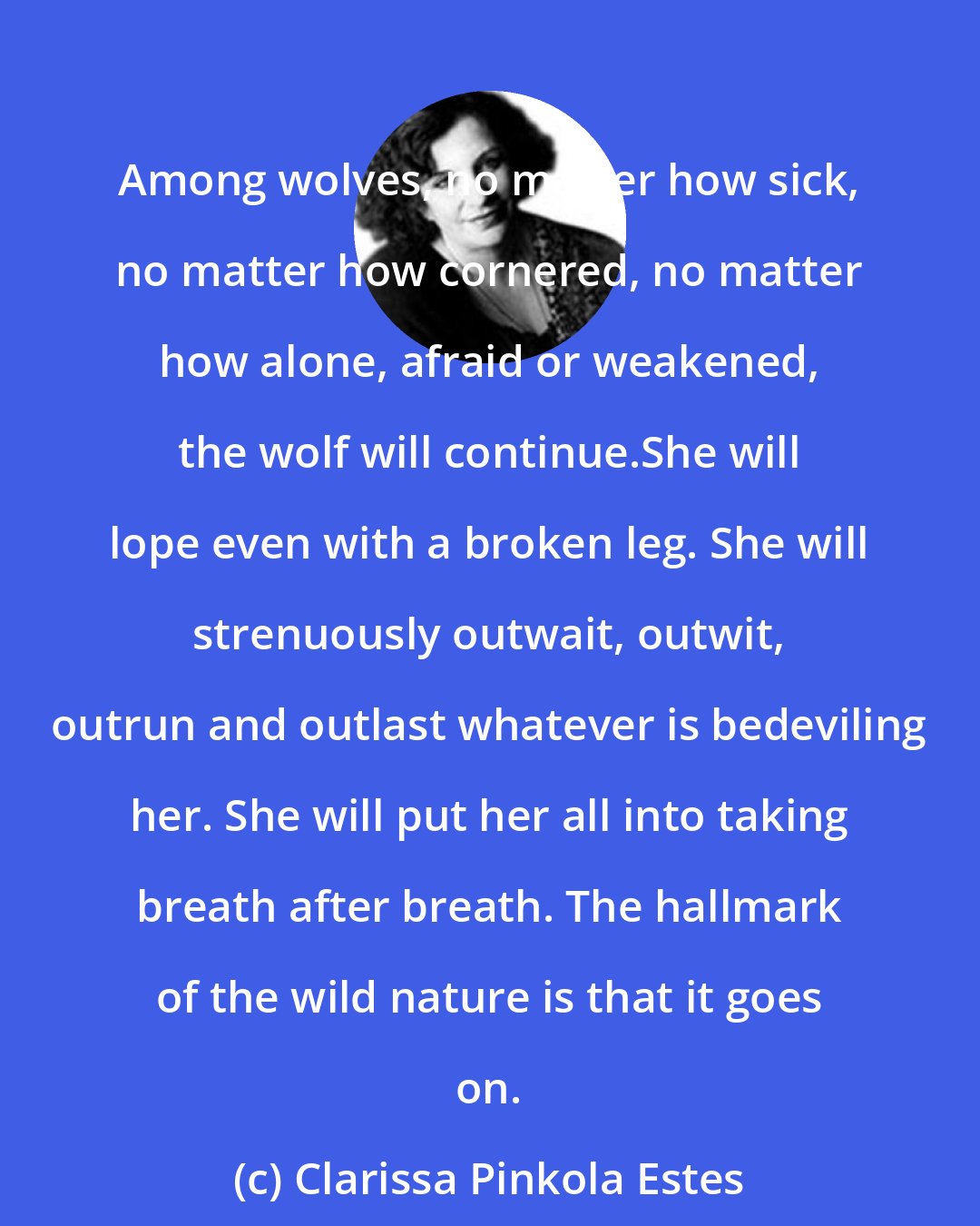 Clarissa Pinkola Estes: Among wolves, no matter how sick, no matter how cornered, no matter how alone, afraid or weakened, the wolf will continue.She will lope even with a broken leg. She will strenuously outwait, outwit, outrun and outlast whatever is bedeviling her. She will put her all into taking breath after breath. The hallmark of the wild nature is that it goes on.