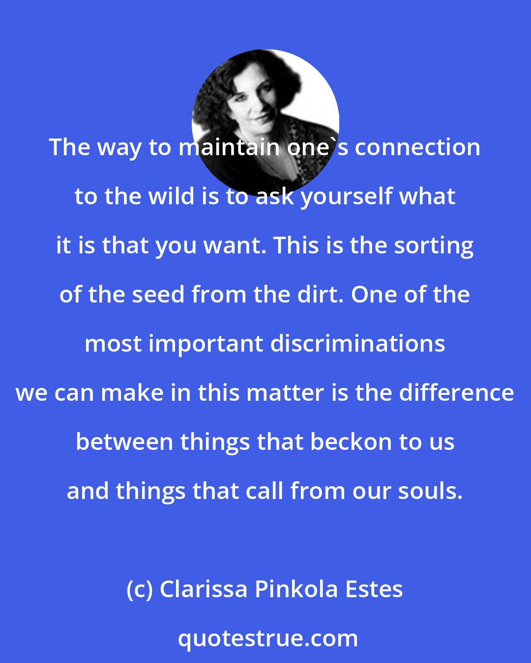 Clarissa Pinkola Estes: The way to maintain one's connection to the wild is to ask yourself what it is that you want. This is the sorting of the seed from the dirt. One of the most important discriminations we can make in this matter is the difference between things that beckon to us and things that call from our souls.