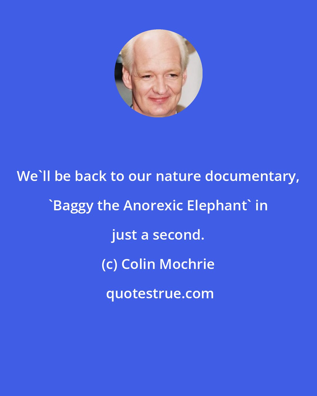 Colin Mochrie: We'll be back to our nature documentary, 'Baggy the Anorexic Elephant' in just a second.