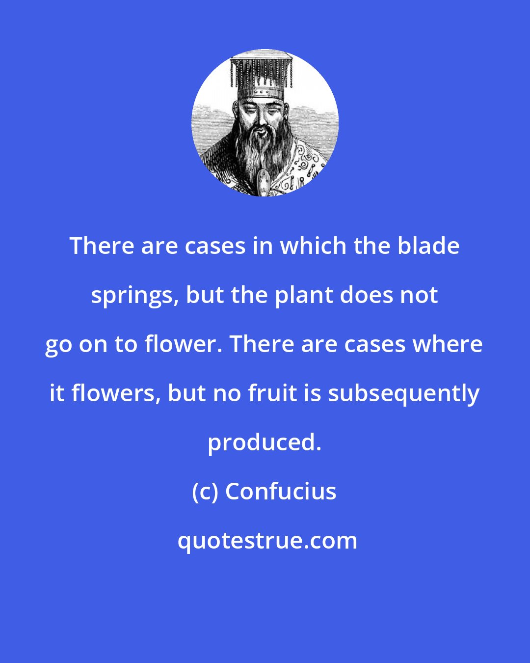 Confucius: There are cases in which the blade springs, but the plant does not go on to flower. There are cases where it flowers, but no fruit is subsequently produced.