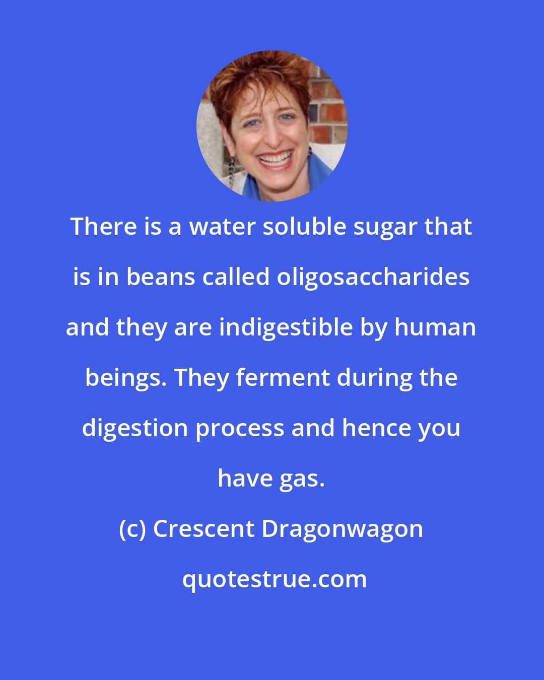 Crescent Dragonwagon: There is a water soluble sugar that is in beans called oligosaccharides and they are indigestible by human beings. They ferment during the digestion process and hence you have gas.