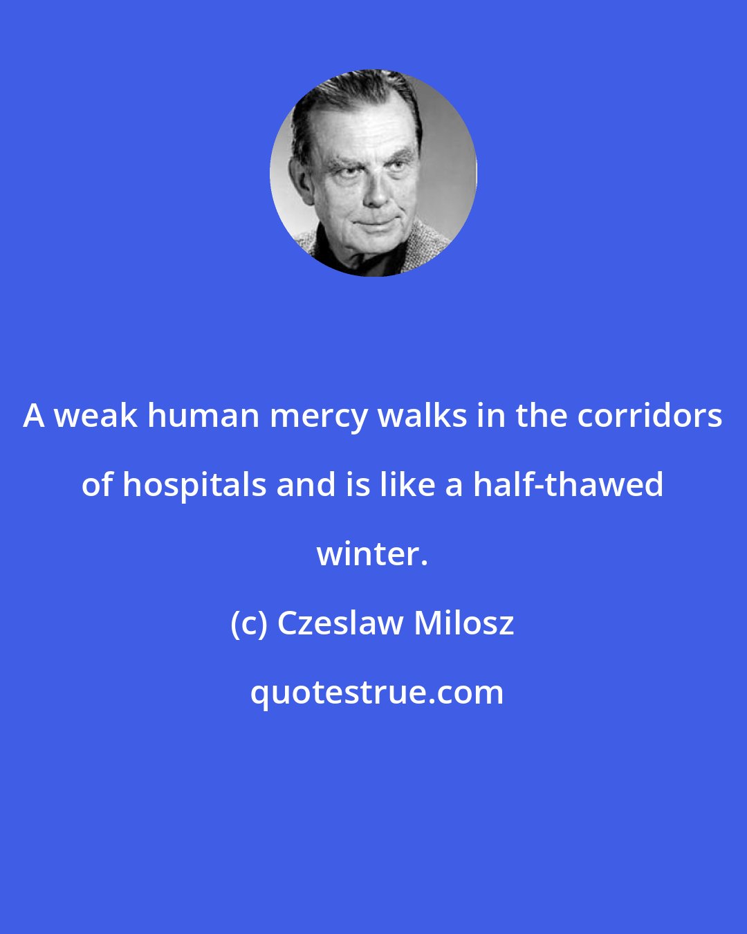 Czeslaw Milosz: A weak human mercy walks in the corridors of hospitals and is like a half-thawed winter.