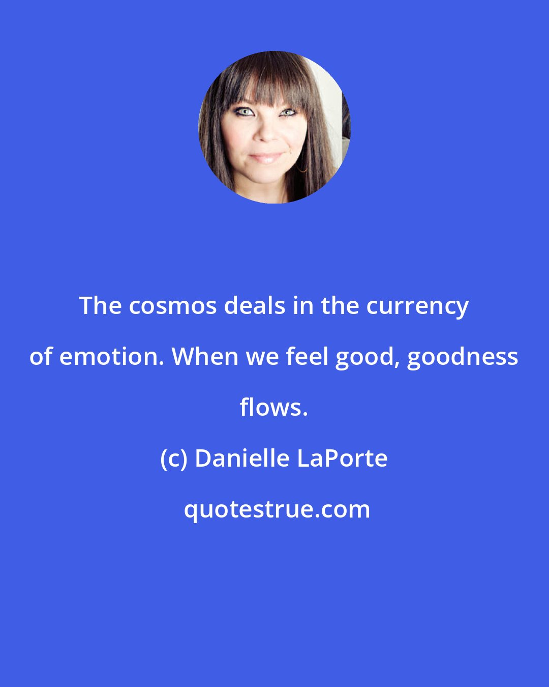 Danielle LaPorte: The cosmos deals in the currency of emotion. When we feel good, goodness flows.