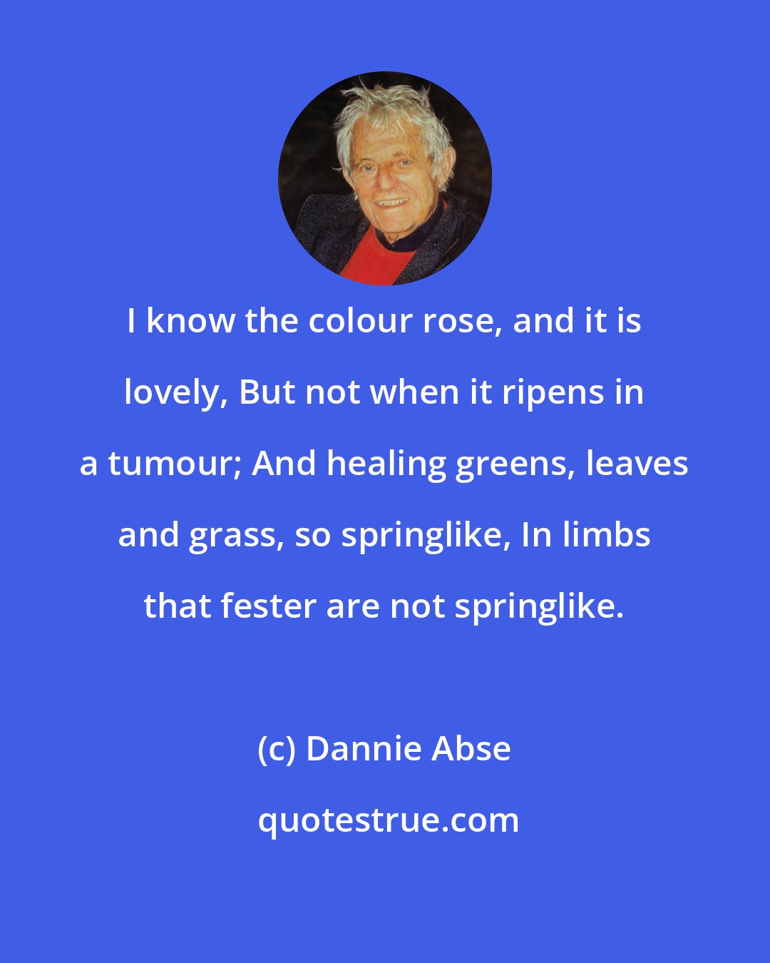 Dannie Abse: I know the colour rose, and it is lovely, But not when it ripens in a tumour; And healing greens, leaves and grass, so springlike, In limbs that fester are not springlike.
