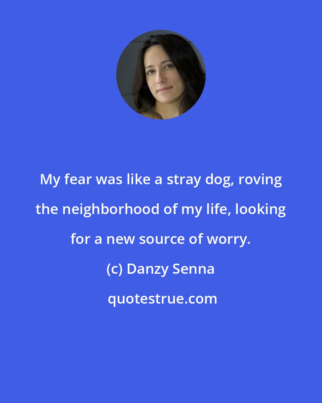Danzy Senna: My fear was like a stray dog, roving the neighborhood of my life, looking for a new source of worry.