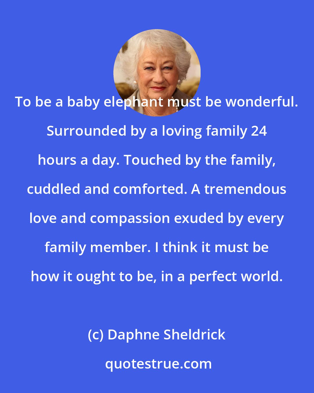 Daphne Sheldrick: To be a baby elephant must be wonderful. Surrounded by a loving family 24 hours a day. Touched by the family, cuddled and comforted. A tremendous love and compassion exuded by every family member. I think it must be how it ought to be, in a perfect world.