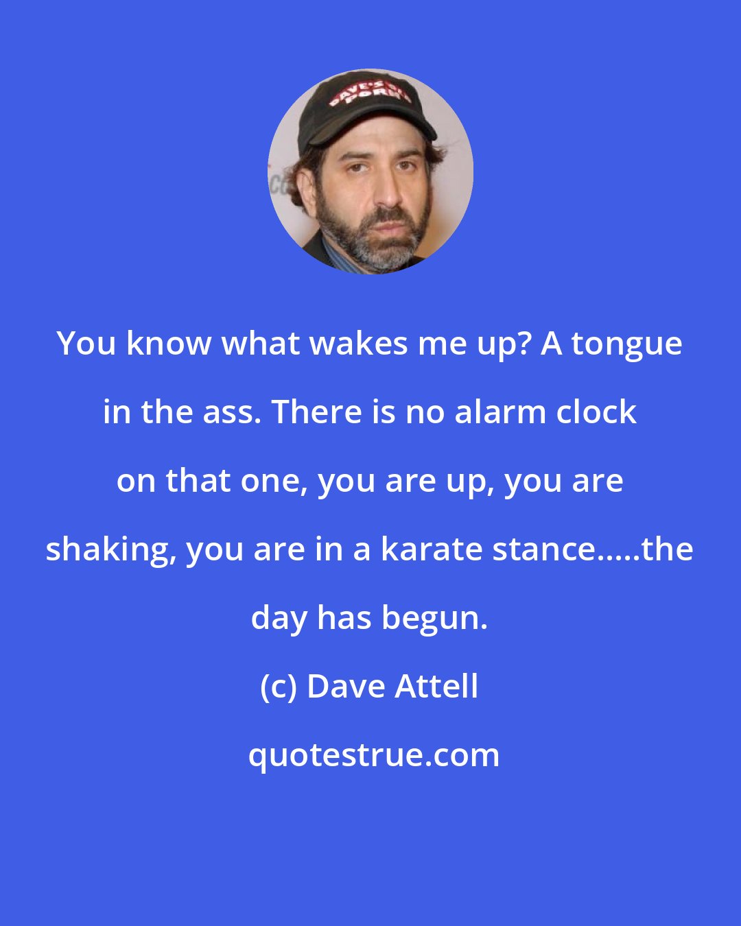 Dave Attell: You know what wakes me up? A tongue in the ass. There is no alarm clock on that one, you are up, you are shaking, you are in a karate stance.....the day has begun.