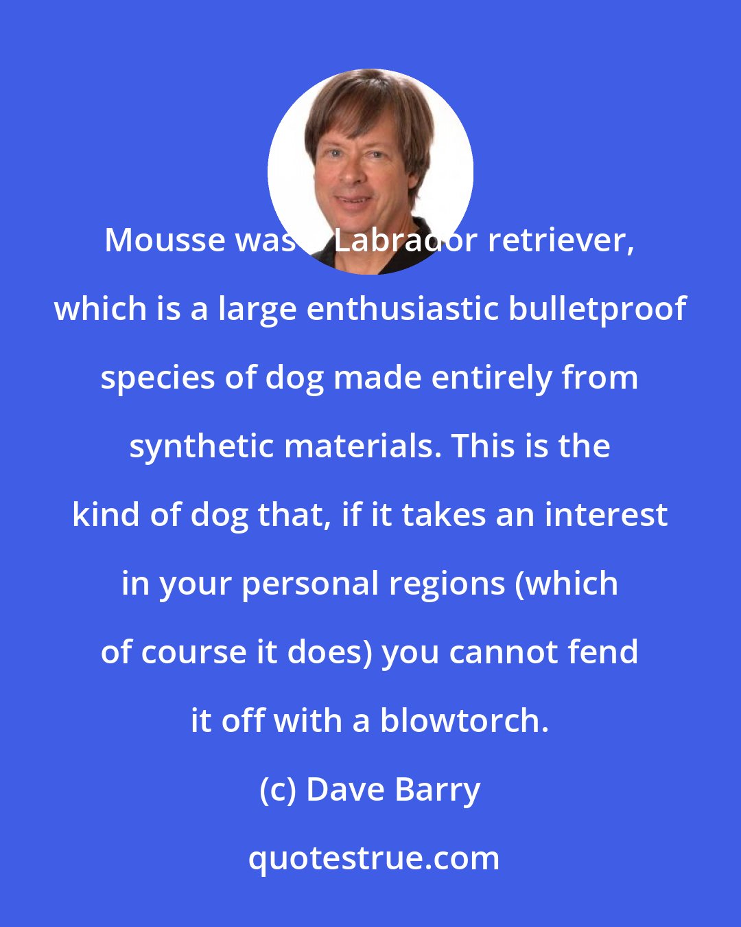 Dave Barry: Mousse was a Labrador retriever, which is a large enthusiastic bulletproof species of dog made entirely from synthetic materials. This is the kind of dog that, if it takes an interest in your personal regions (which of course it does) you cannot fend it off with a blowtorch.